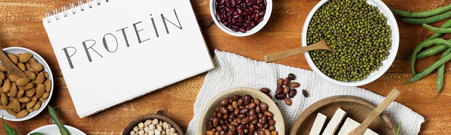 Happy Gut, Healthy Animal – Probiotics For A Better Microbiome