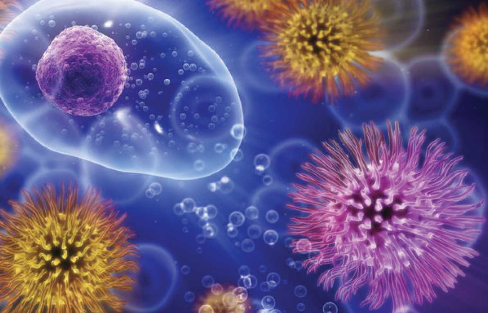 Microbes