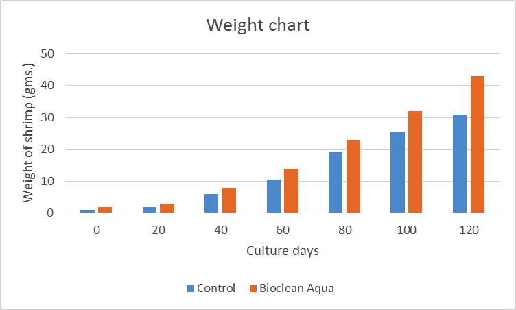 comparison-shrimp-bioclean-aqua