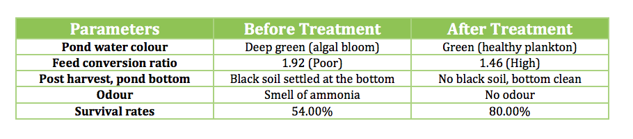 Table showing aquaculture treatment results, comparing pond water, feed ratio, odour, and survival rates.