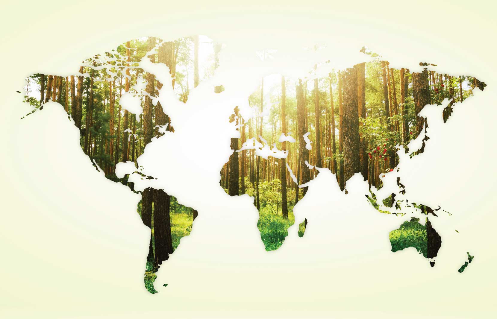 What Is Biodiversity
