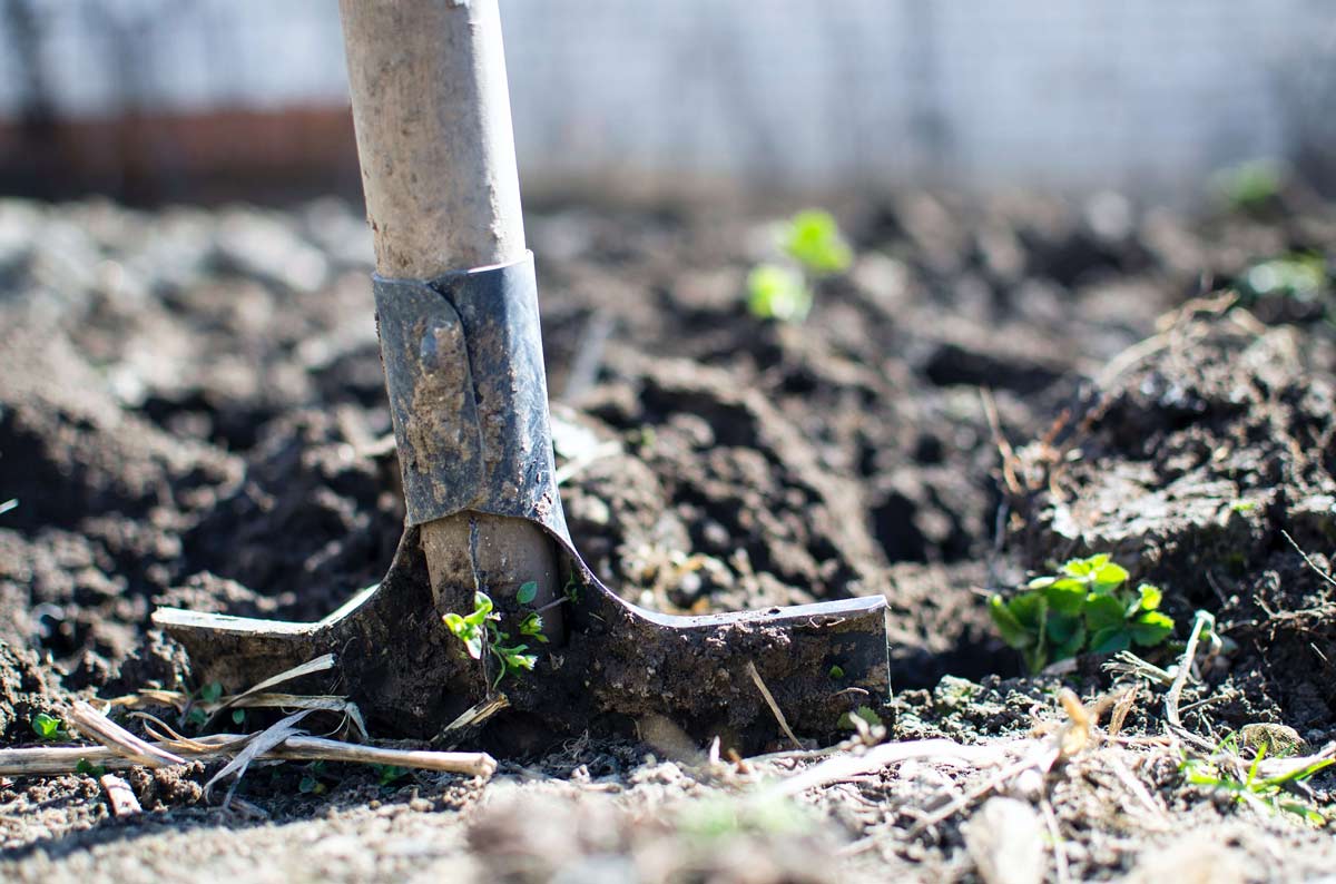 soil-bioremediation-1