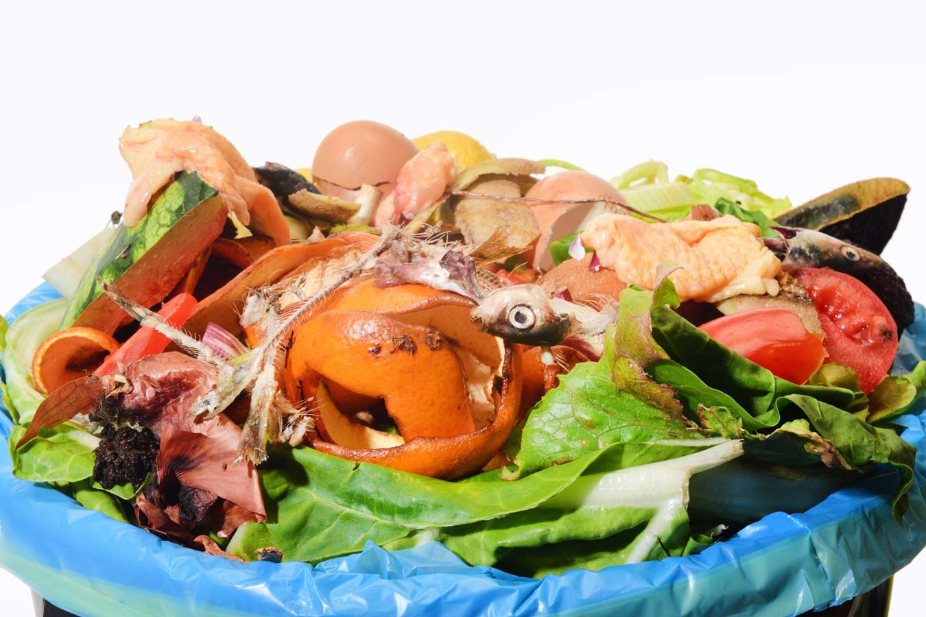How-Can-You-Start-Home-Composting-Help-The-Environment