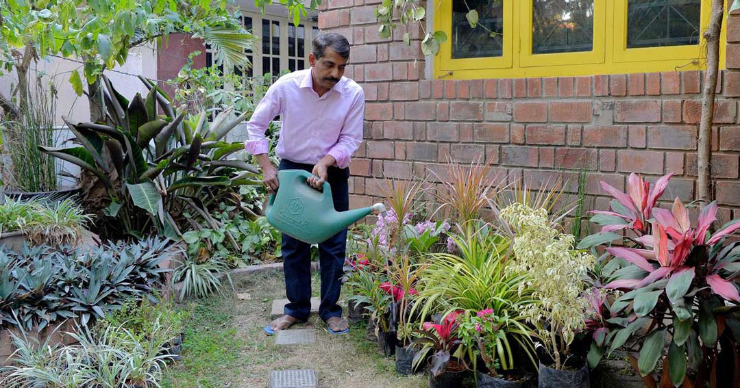Gardening Tips
