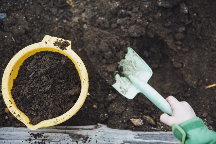 Guide To Home Composting