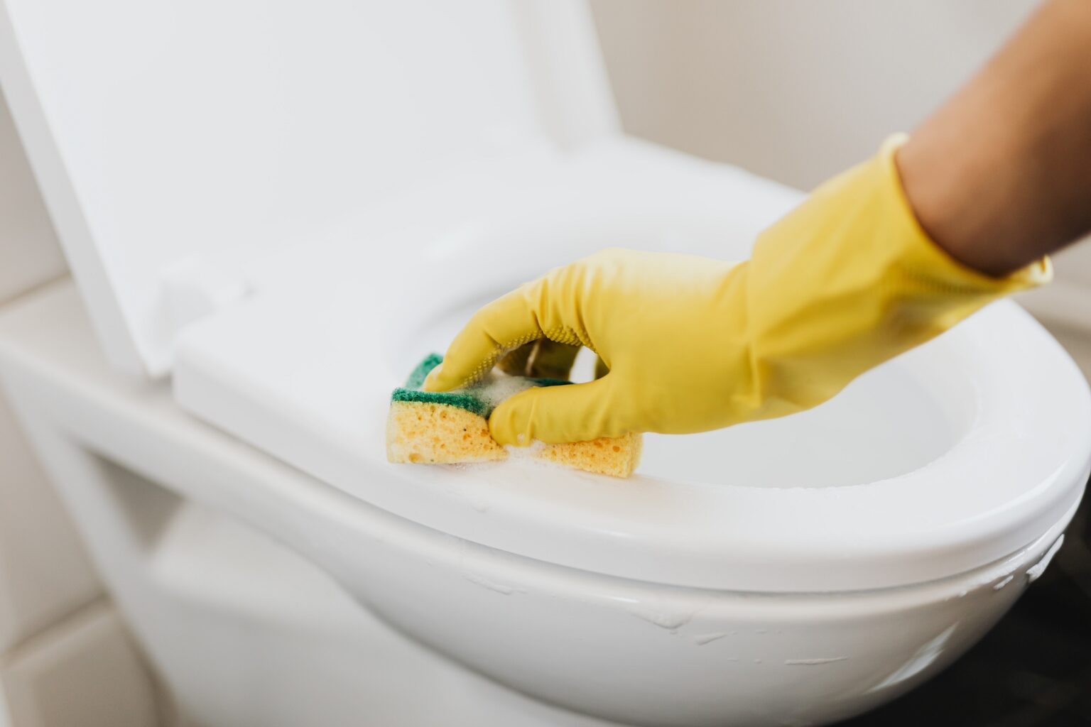 Organic Products For Cleaning And Sanitizing Offices/Hotels Post Covid-19 Lockdown