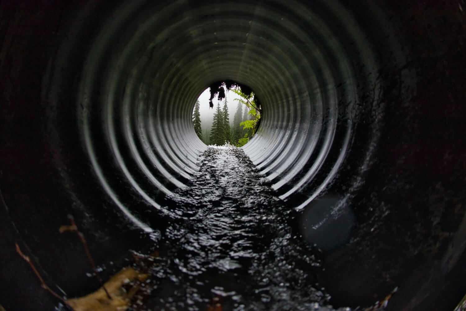 Sewage Management 'Impending Nuisance' 1 Sewage Management