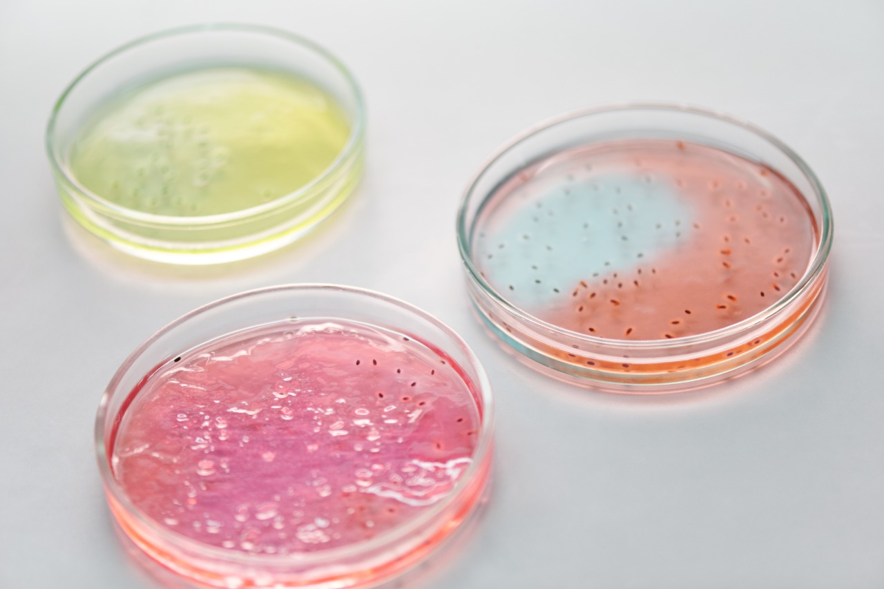 Three petri dishes containing different colored media with visible microbial growth, representing cultures used to improve aerobic wastewater treatment efficiency.
