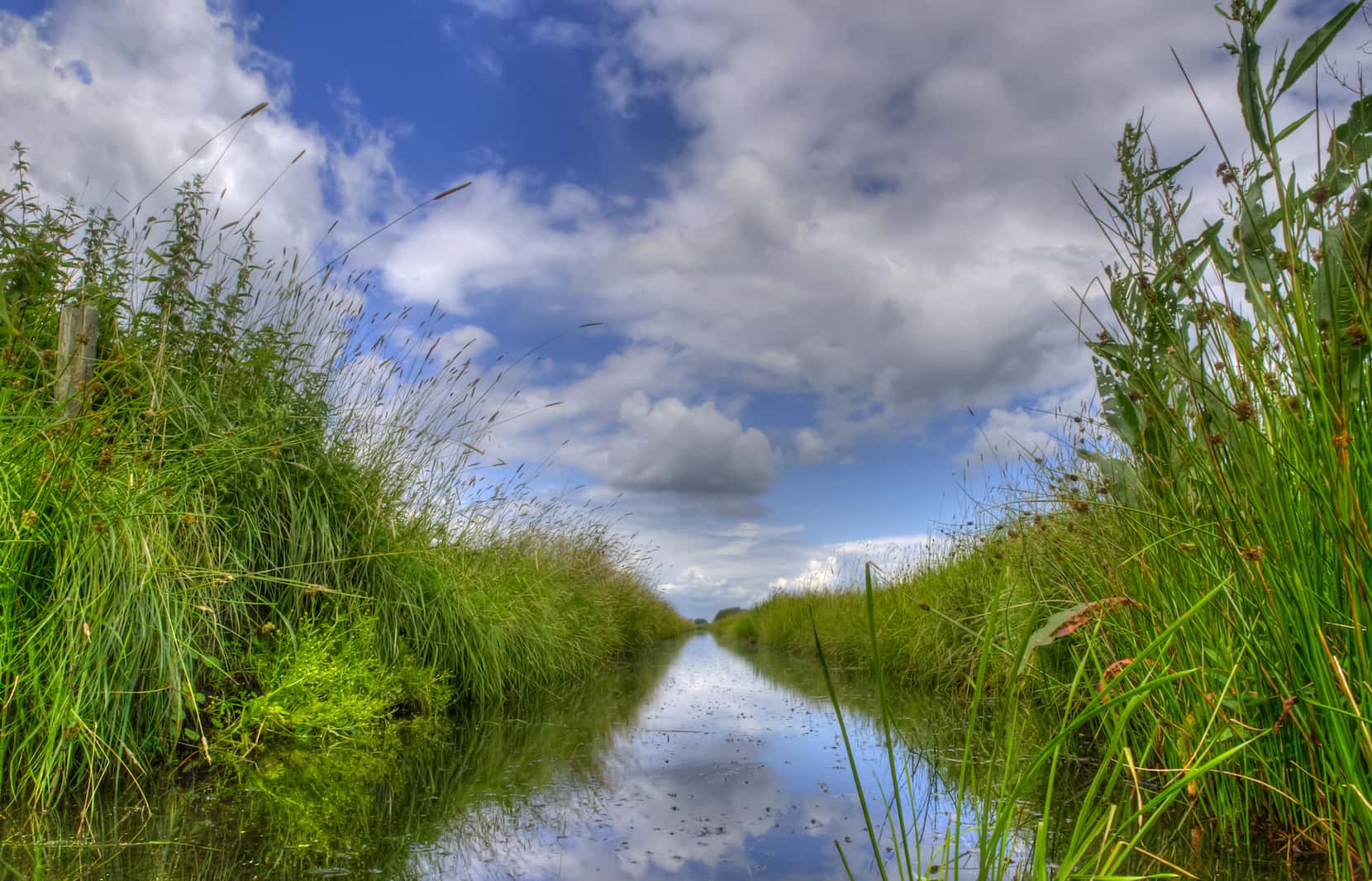 Mitigating Antibiotic Resistance With Efficient Wastewater Treatment
