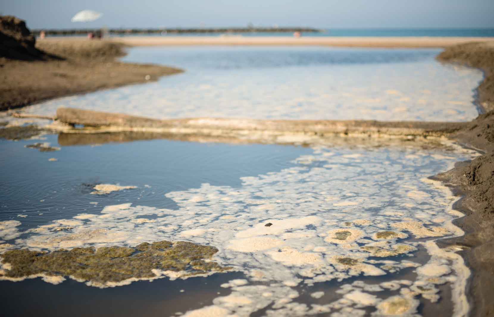 Polluted ocean shore with white foam and green algae near a beach, indicating ocean pollution.