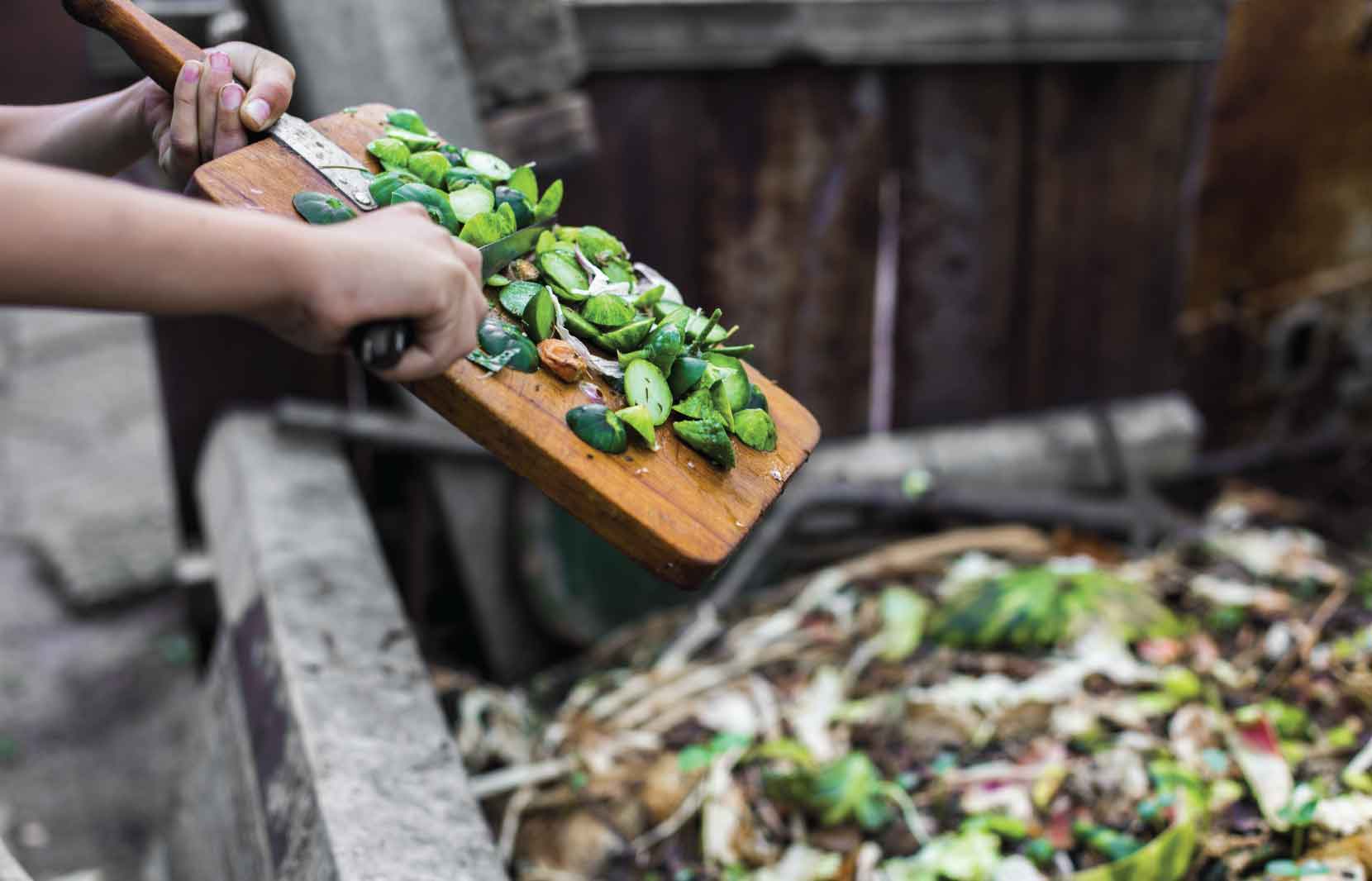 Hands emptying chopped green vegetables from a cutting board into a compost bin.