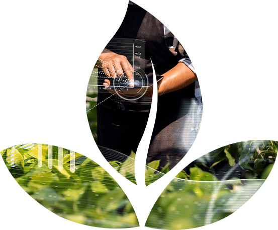 A leaf-shaped image showing hands planting in soil with green foliage in the background.