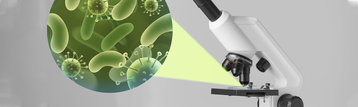 Microscopic View of Microbes Under a Laboratory Microscope