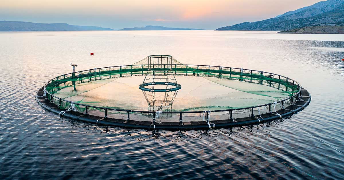 Circular fish farm in the ocean, promoting sustainable aquaculture with reduced antibiotics.